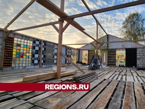 Стены из бутылок, фундамент из канистр: дачница из Егорьевска строит у себя в саду музей экологии новости Егорьевск 