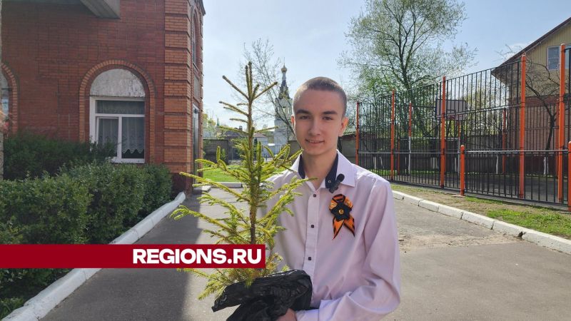 В «День добрых дел» в округе высадят более 160 деревьев новости Егорьевск 