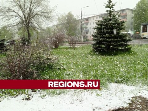 В Егорьевск пришла майская зима новости Егорьевск 