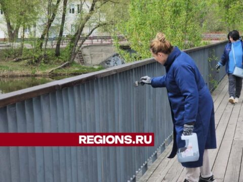 Зона отдыха на Набережной засияет новыми красками новости Егорьевск 